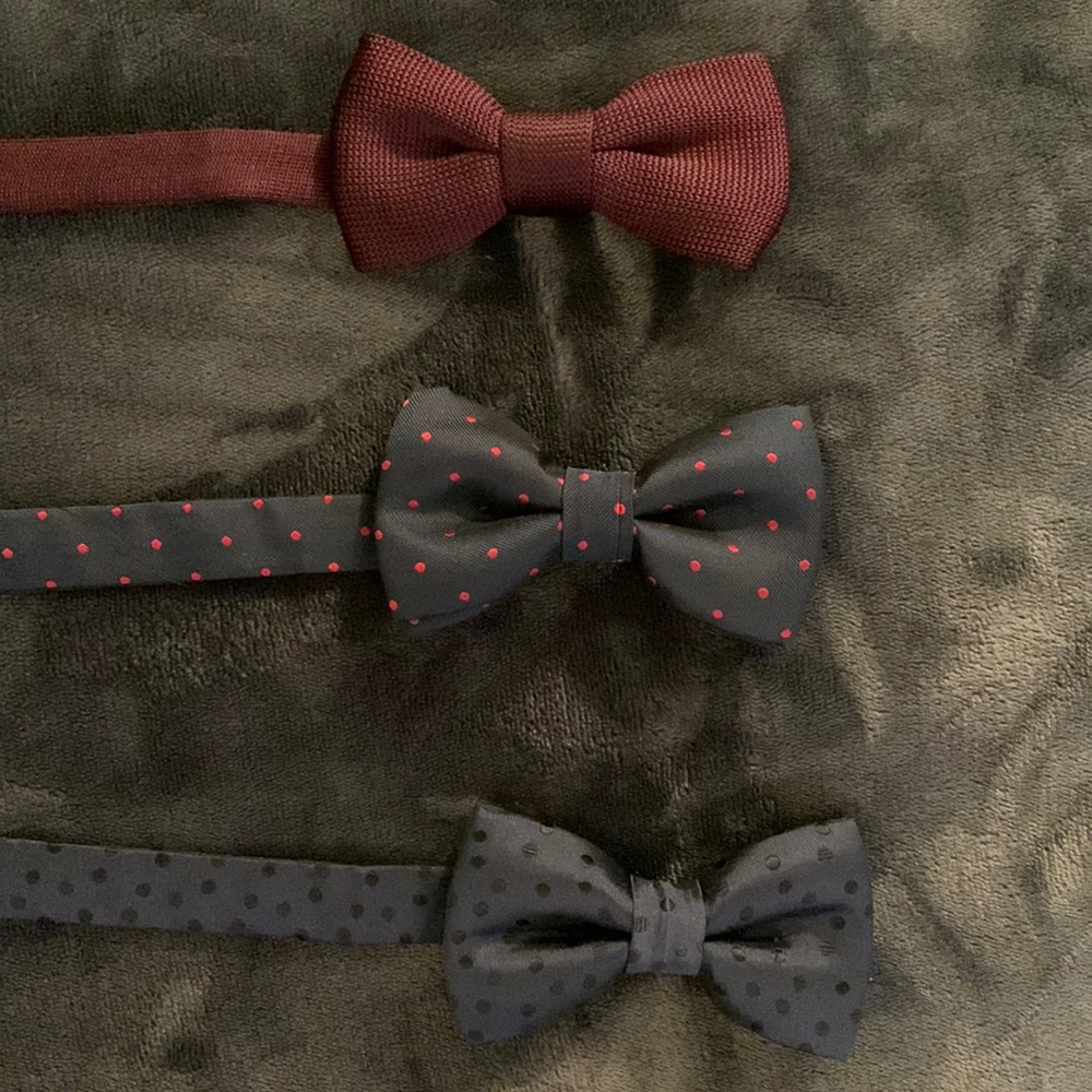 Assorted pre-tied bow ties
